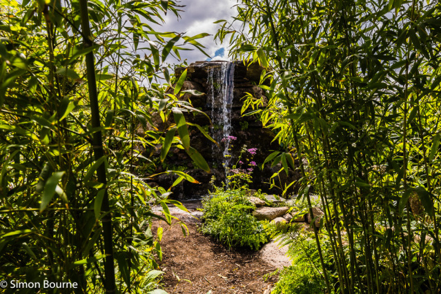 Simon Bourne, photography, photographer, portfolio, image, Tintagel, Cornwall, Chelsea Flower Show 2023, Fauna & Flora, conservation charity, Eden Project, RHS show garden, spring, mountain gorilla, Central Africa, tropical rainforest, waterfall, Jilayne 