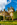 Simon Bourne, photography, photographer, north London, portfolio, image, gardens, autumn, Waddesdon Manor, Buckinghamshire, grounds, National Trust, house, Nikon, flowers, Rothschild, French chateau
