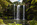 Simon Bourne, photography, photographer, north London, portfolio, image, spring, landscape, Nikon, Whangarei Falls, North Island, New Zealand, Aotearoa, waterfall, tree ferns, cascade, pool, rocks, river