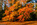Simon Bourne, photography, photographer, north London, portfolio, image, gardens, autumn, fall, Westonbirt Arboretum, Gloucestershire, landscapes, trees, Acer palmatum, red leaves, orange leaf