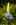 Simon Bourne, photography, photographer, north London, portfolio, image, gardens, spring, Camassia leichtlinii, Caerulea, Maybelle, London, garden designer, SGD, Jilayne Rickards, outside, blue flower, shade, purple
